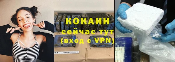 индика Баксан