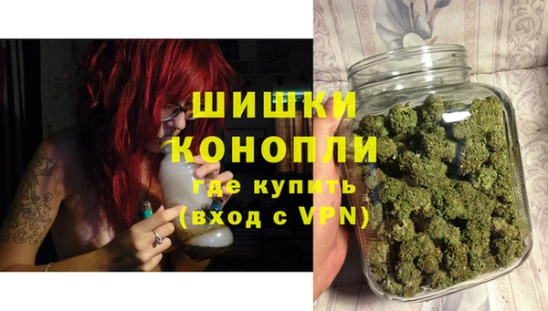 индика Баксан