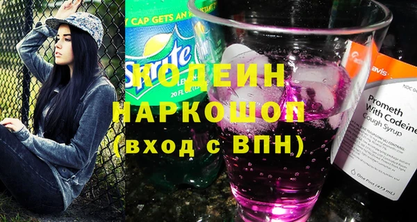 индика Баксан