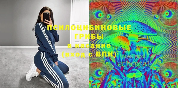 индика Баксан
