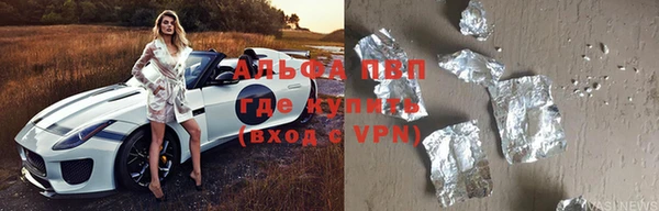 индика Баксан